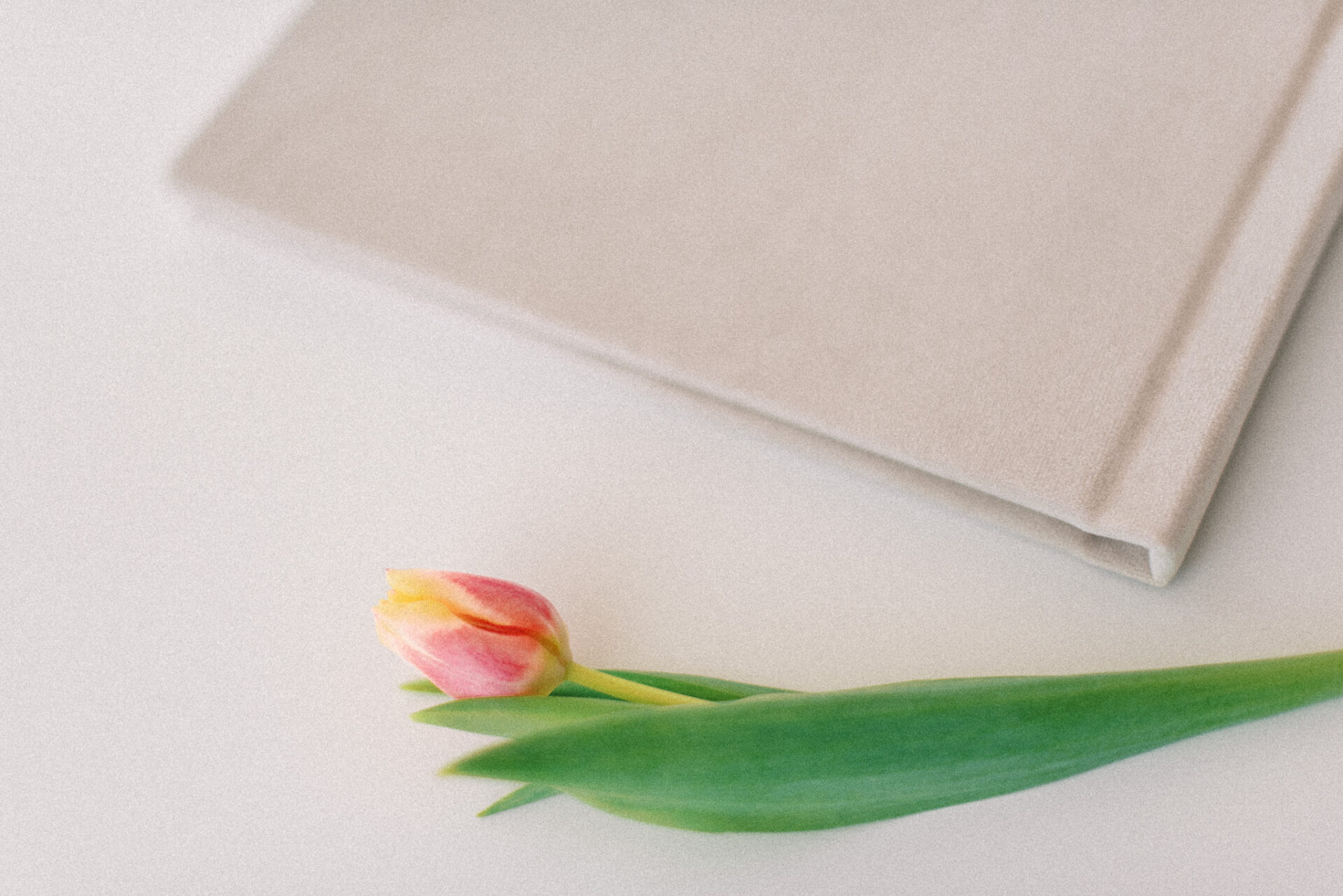 Hochwertiges, minimalistisches Fotoalbum gestaltet von Judit König Photography